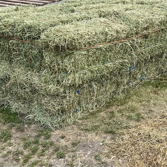 First Cutting 2026 Alfalfa/Grass Mix Hay (photo 2)