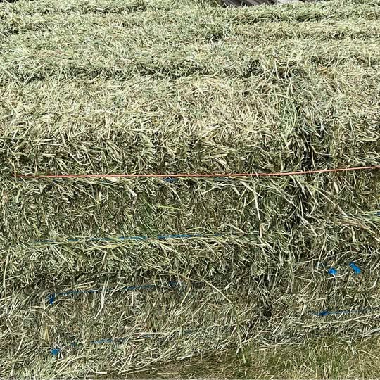 First Cutting 2026 Alfalfa/Grass Mix Hay (photo 4)