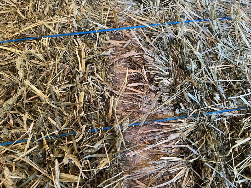 3rd-Cutting Alfalfa/Grass Mix Hay – Utility Use (Cow Hay) (photo 4)