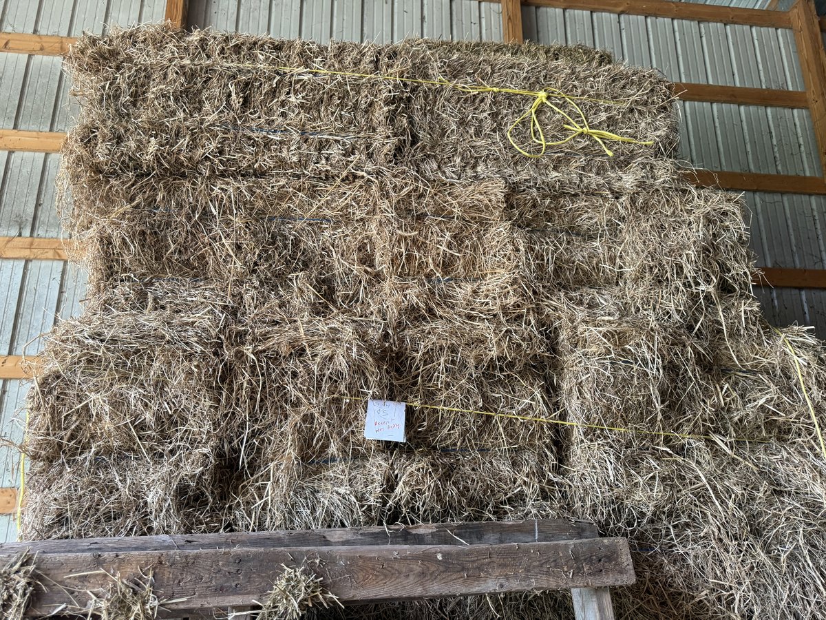 2nd and 3rd-Cutting Alfalfa/Grass Mix Hay  (photo 2)