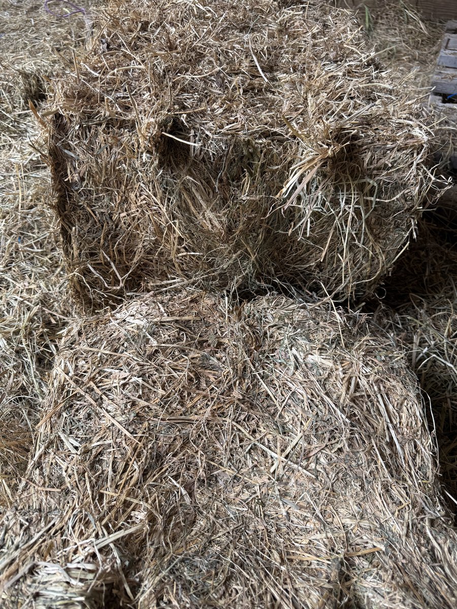2nd and 3rd-Cutting Alfalfa/Grass Mix Hay  (photo 3)