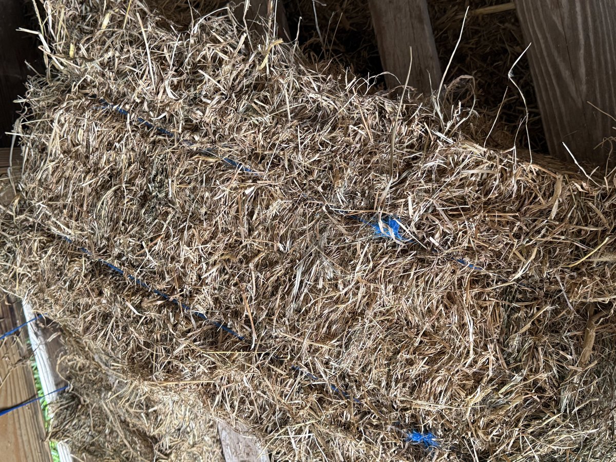 2nd and 3rd-Cutting Alfalfa/Grass Mix Hay  (photo 4)