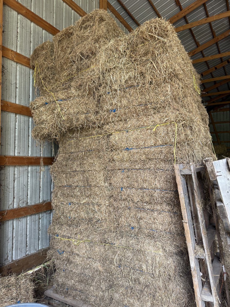 2nd and 3rd-Cutting Alfalfa/Grass Mix Hay  (photo 5)