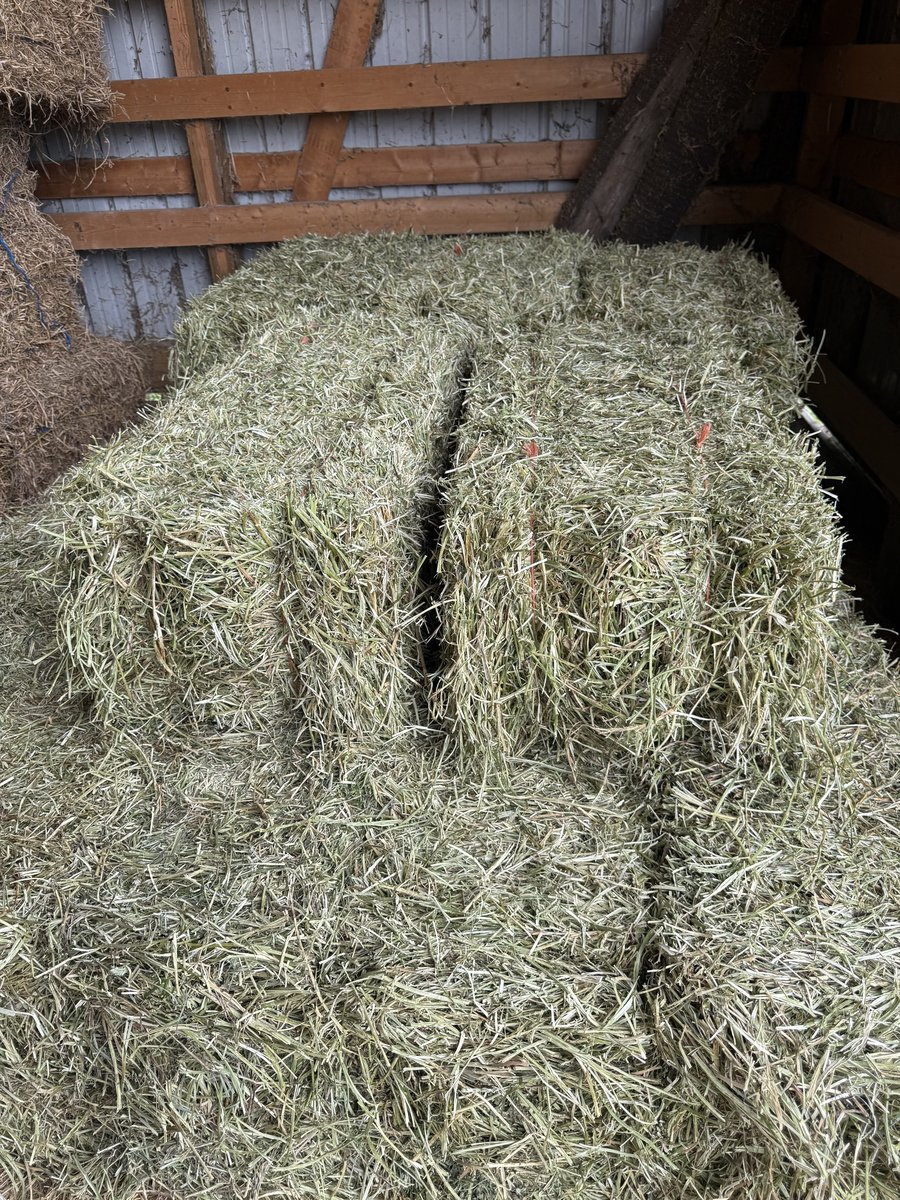 1st Cutting Alfalfa/Grass Mix Hay. Cut in May (photo 1)