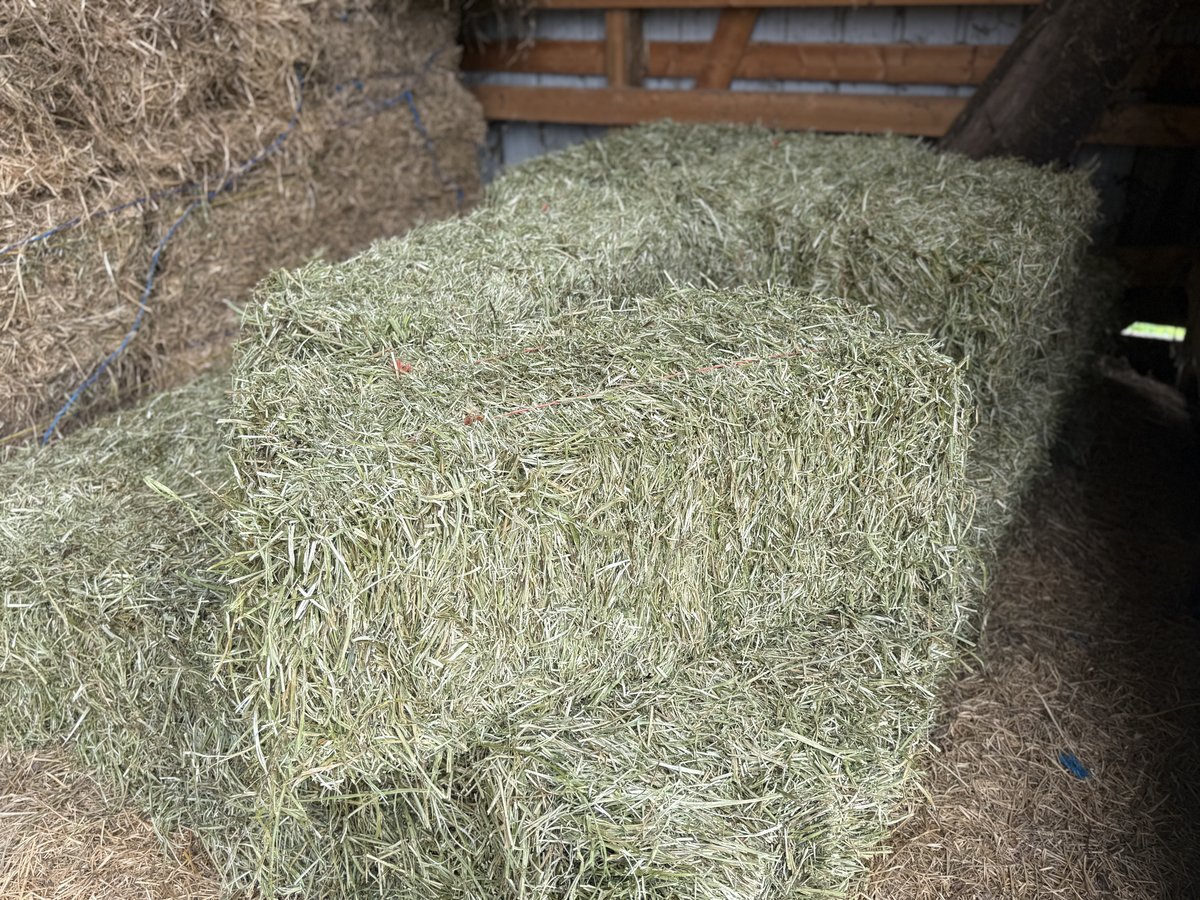1st Cutting Alfalfa/Grass Mix Hay. Cut in May (photo 4)